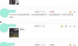 最新爆料信息,最新爆料信息曝光，震惊业界内幕大公开！